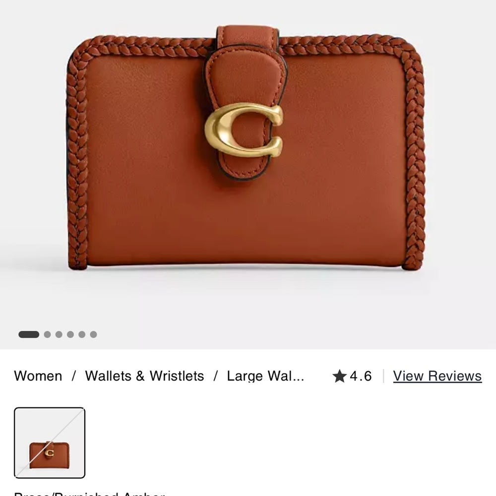 ❌SOLD❌Tabby Medium wallet with braid